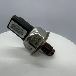 Sensor Presion Riel Peugeot Citroen 2.0 Hdi 2009 + Delphi