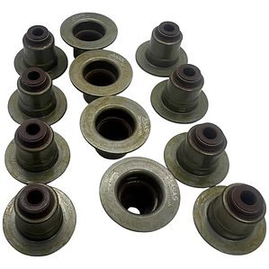 Jgo Reten Sello Valvula Ecosport 1.5 Motor Dragon 3cil 12pcs