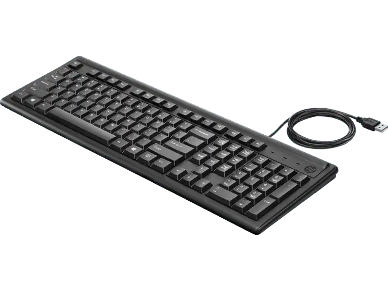 HP Teclado 100 Wired-109 Teclas-A 2UN30AA#ABM 1