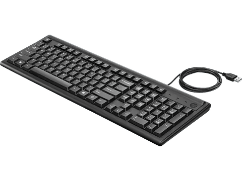 HP Teclado 100 Wired-109 Teclas-A 2UN30AA#ABM