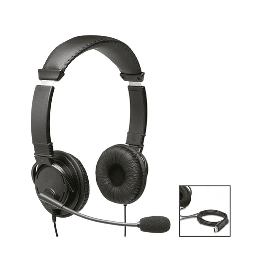 Audifono Con Microfono Hifi Conector Usb-B /Bulk