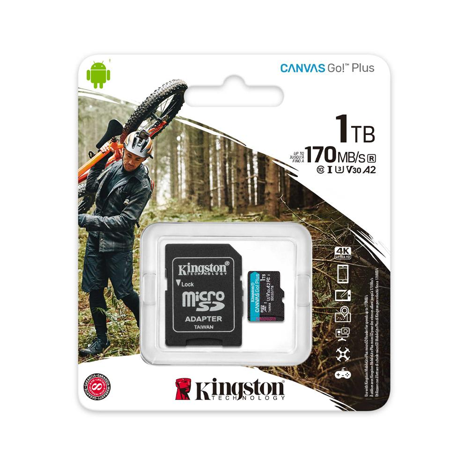 Memoria 1Tb Microsdxc Canvas Go Plus 170R A2 U3 V3 SDCG3/1TB 1