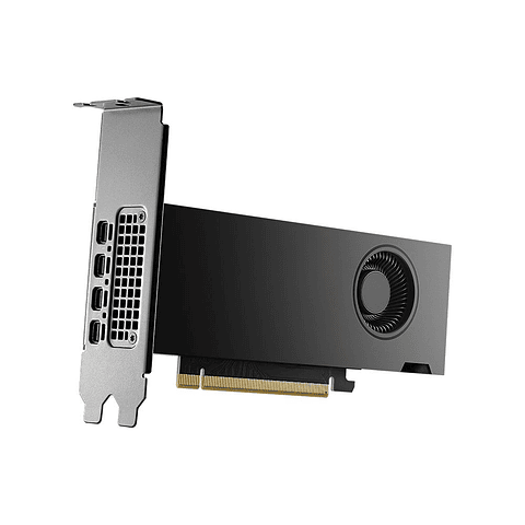 Tarjeta De Video Pny Nvidia Rtx 2000 Ada Gen. VCNRTX2000ADA-PB