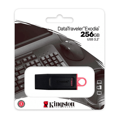 Pendrive Kingston 256GB USB3.2 Gen1 DataTraveler E DTX/256GB
