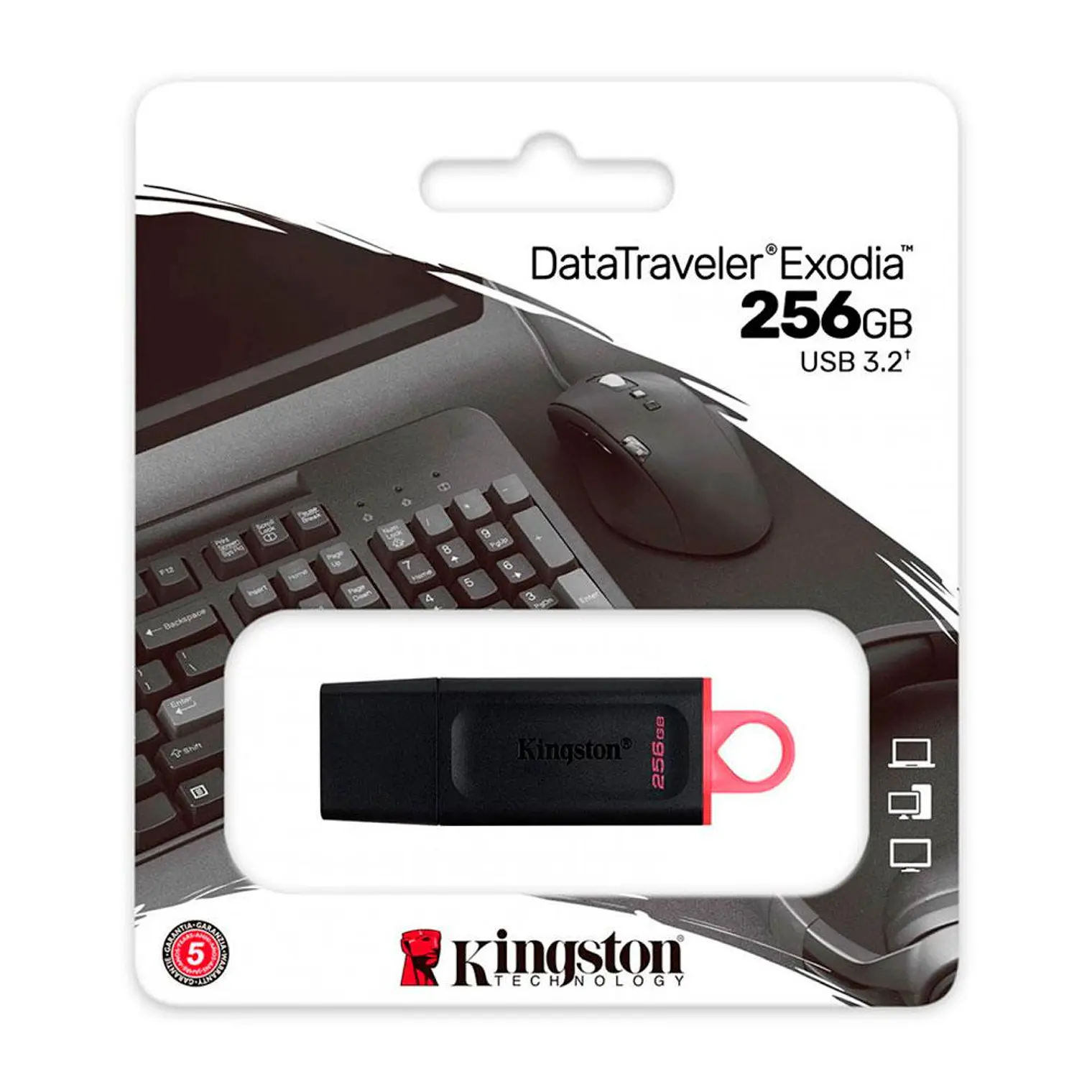 Pendrive Kingston 256GB USB3.2 Gen1 DataTraveler E DTX/256GB 1