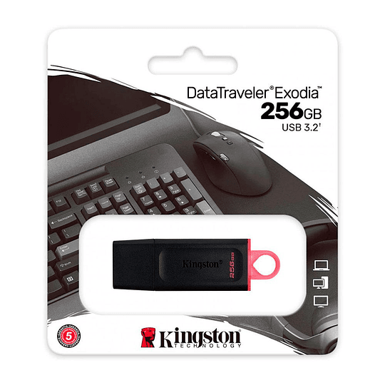 Pendrive Kingston 256GB USB3.2 Gen1 DataTraveler E DTX/256GB