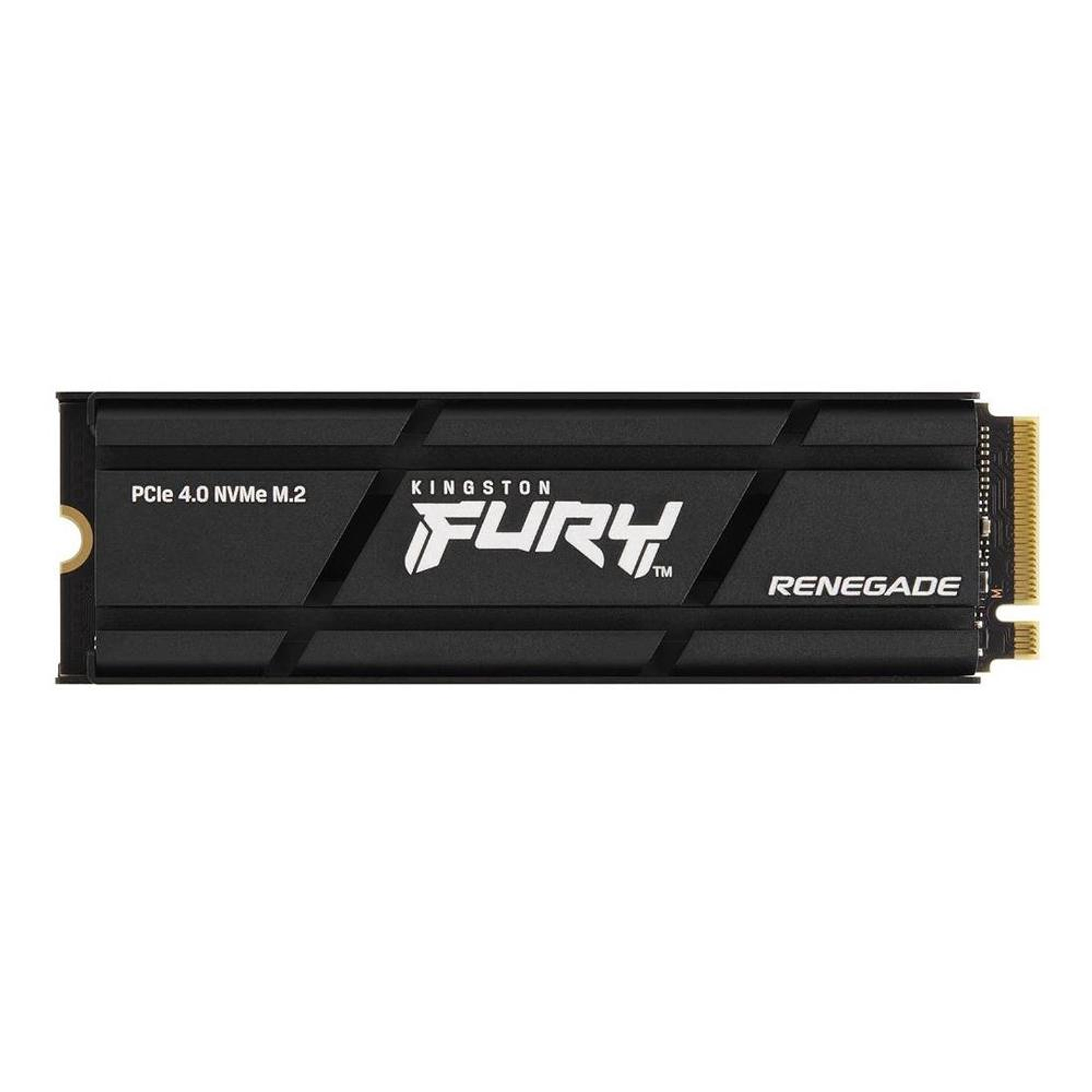 Disco Duro 4000G RENEGADE PCIe 4.0 NVMe SSD W/ HEA - SFYRDK/4000G 1