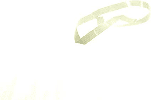 Ribbon Cable R RH2-5456