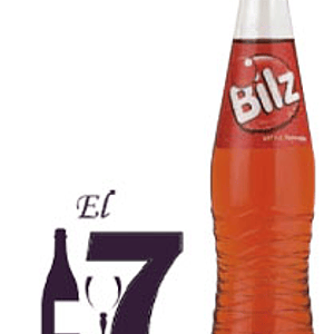Bilz Express 