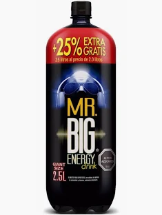 MR BIG 2.5