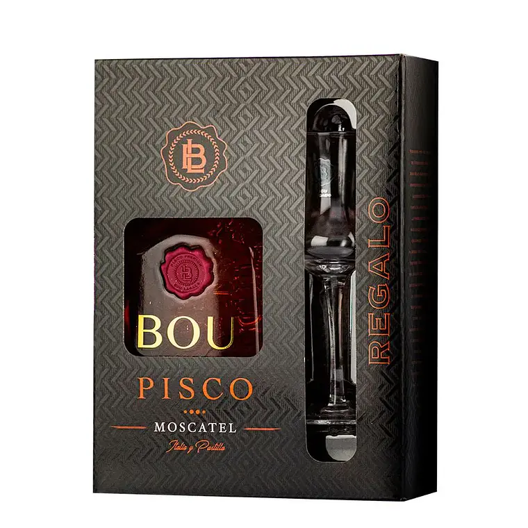PISCO BOU + COPA  1