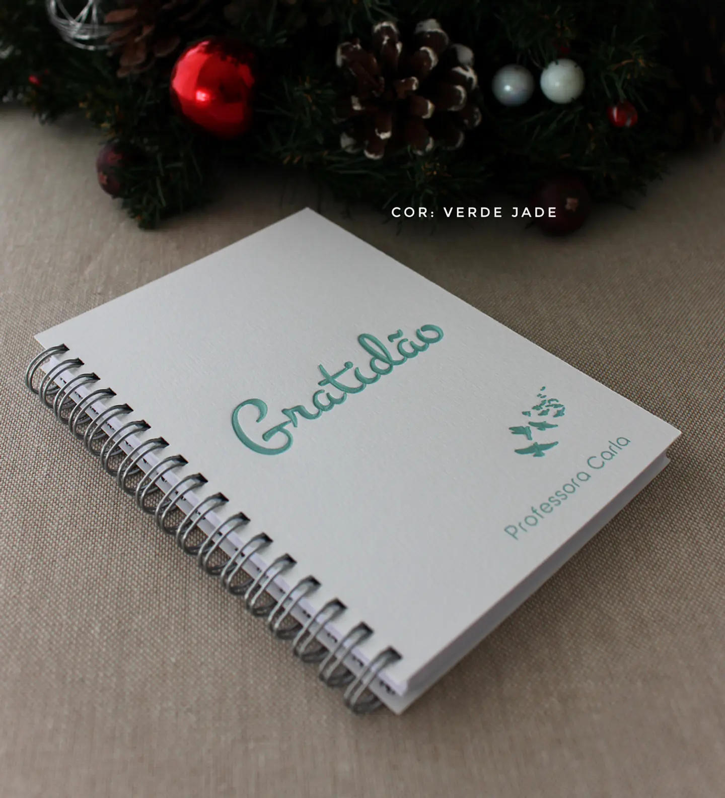 Caderno Gratidão  1