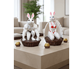 Canasta de Conejitos de Pascua Fitness Gym