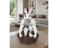 Canasta de Conejitos de Pascua Fitness Gym
