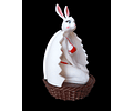 Canasta de Conejitos de Pascua Fitness Gym