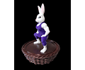 Canasta Coneja de Pascua Fitness Gym