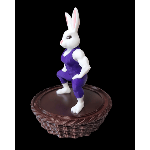 Canasta Coneja de Pascua Fitness Gym