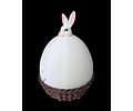 Canasta Coneja de Pascua Fitness Gym