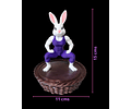 Canasta Coneja de Pascua Fitness Gym