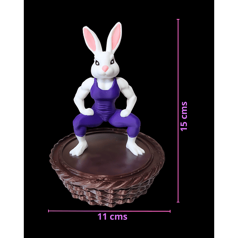 Canasta Coneja de Pascua Fitness Gym