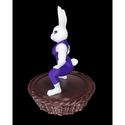 Canasta Coneja de Pascua Fitness Gym