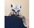 Casco Lich King para Gatos – Edición Rey Exánime