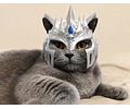 Casco Lich King para Gatos – Edición Rey Exánime