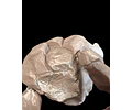 Figura Articulada de Rocky de Proyecto Fin del Mundo