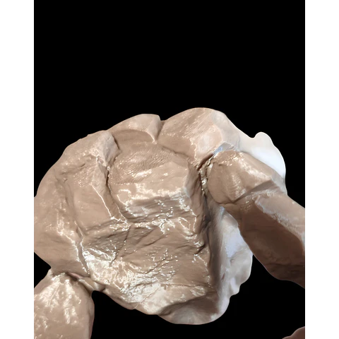 Figura Articulada de Rocky de Proyecto Fin del Mundo