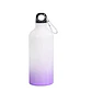 Pack de 10 Botellas De Aluminio Para Sublimación 600ml Color Degradado + Caja - Miniatura 1