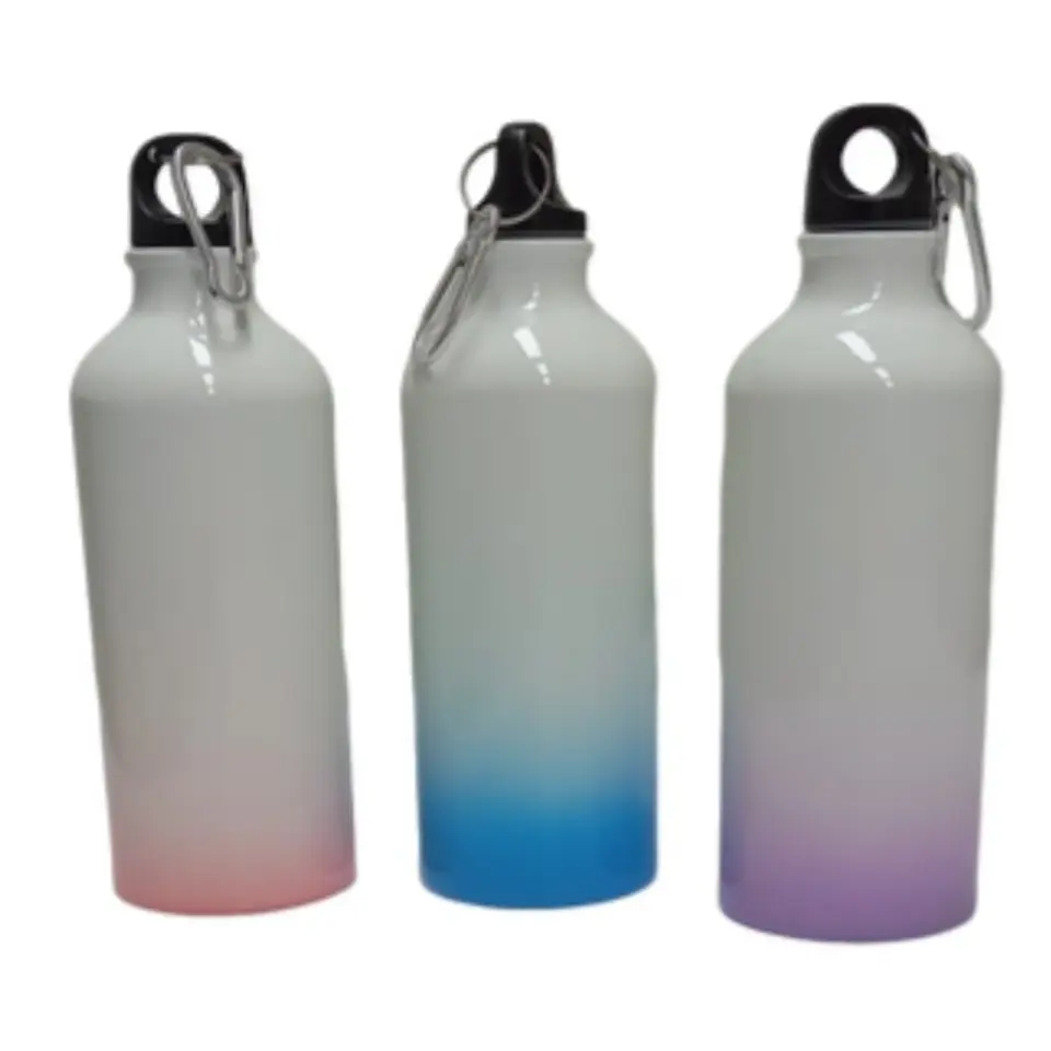 Pack de 10 Botellas De Aluminio Para Sublimación 600ml Color Degradado + Caja 3