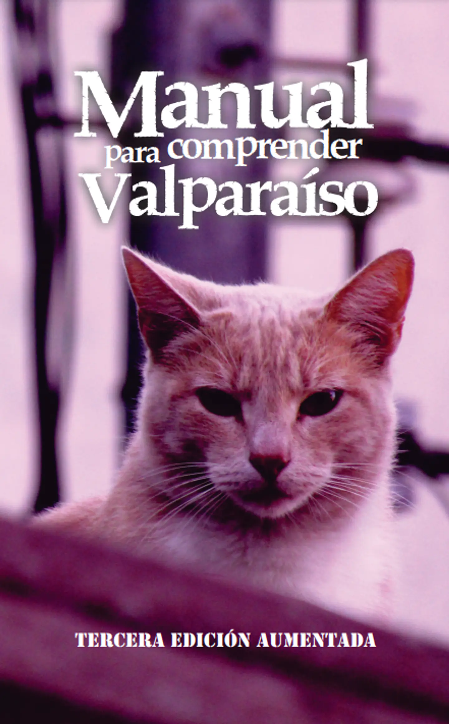 Manual para comprender Valparaíso 1