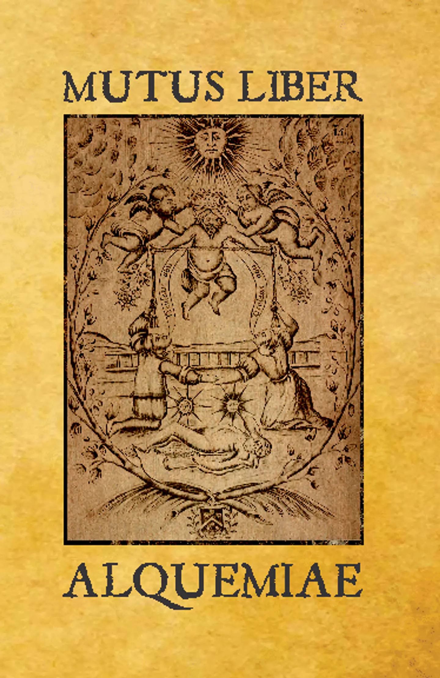 Mutus Liber 1