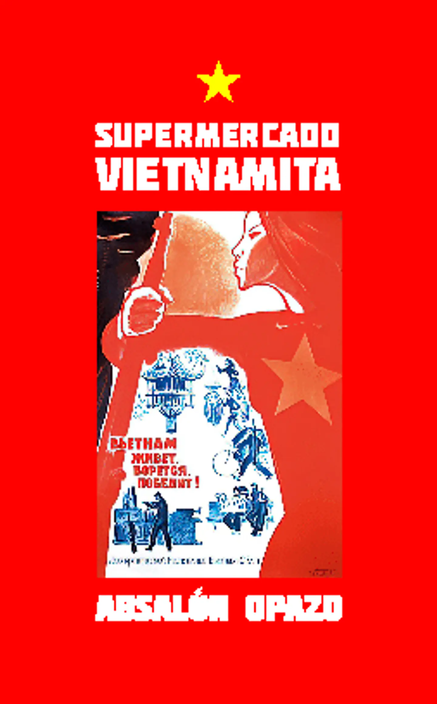 Supermercado vietnamita - Absalón Opazo 1