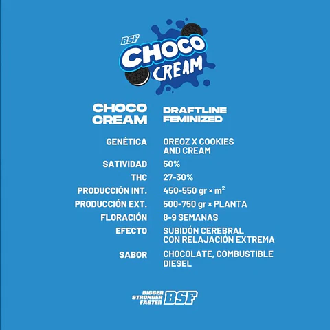 Choco Cream A+