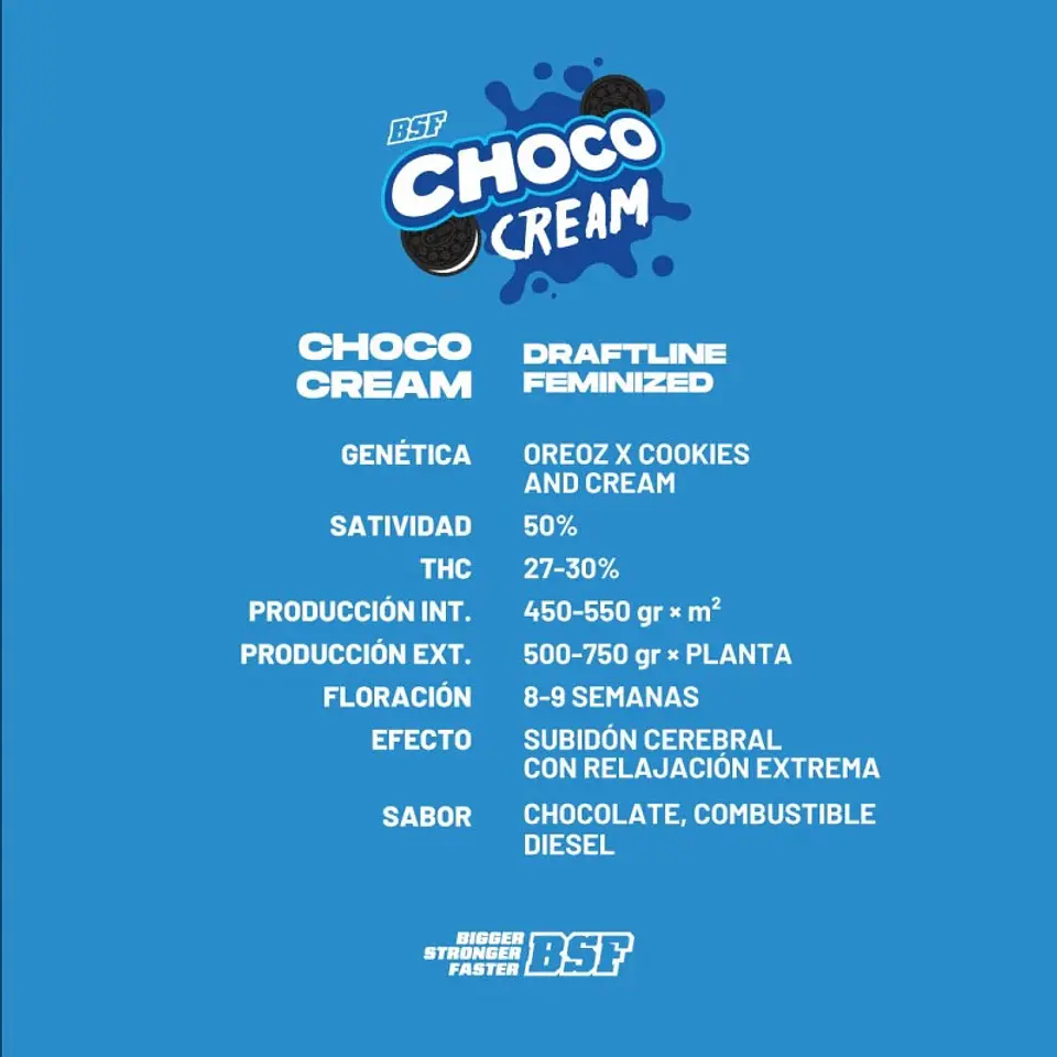Choco Cream A 1
