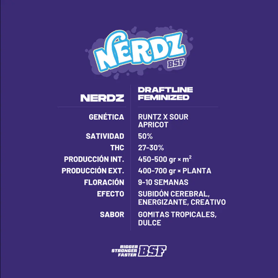 Nerdz A+ 1