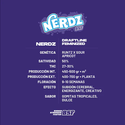 Nerdz B