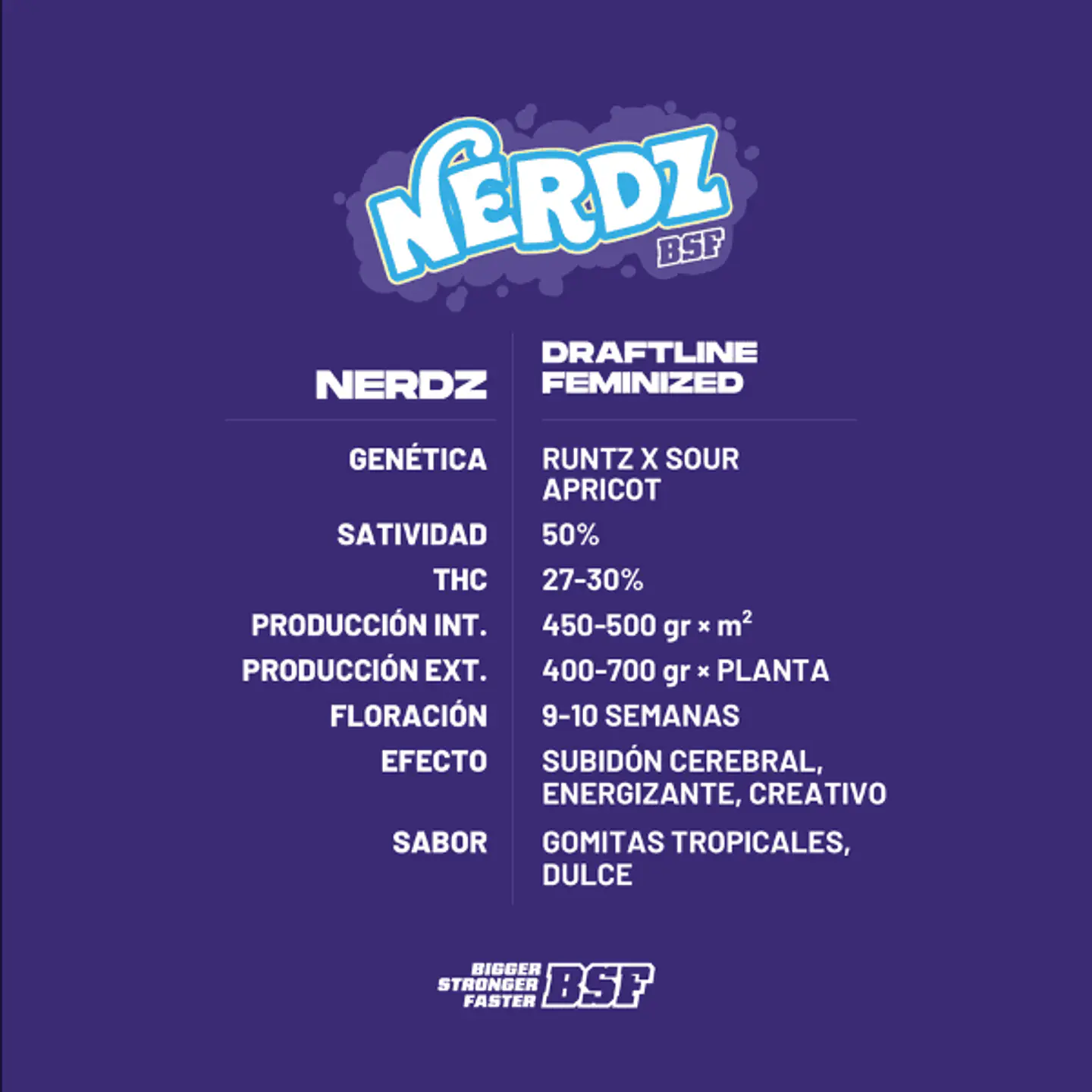 Nerdz B 1