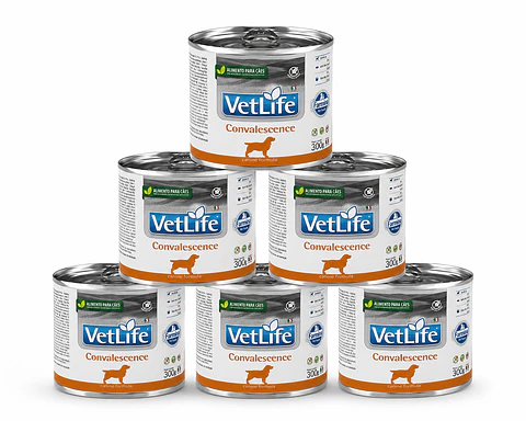 Pack 6 Latas Vet Life Convalescence