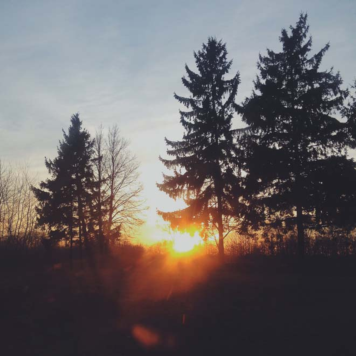 Coleção de presets para ambientes exteriores na Hora Dourada 3