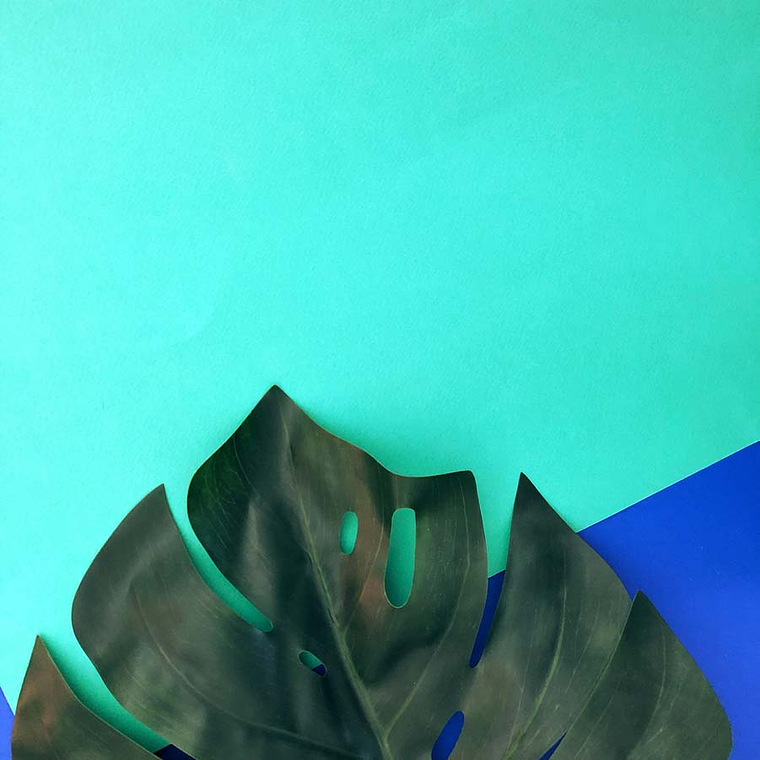 Presets minimalistas para o Instagram 1