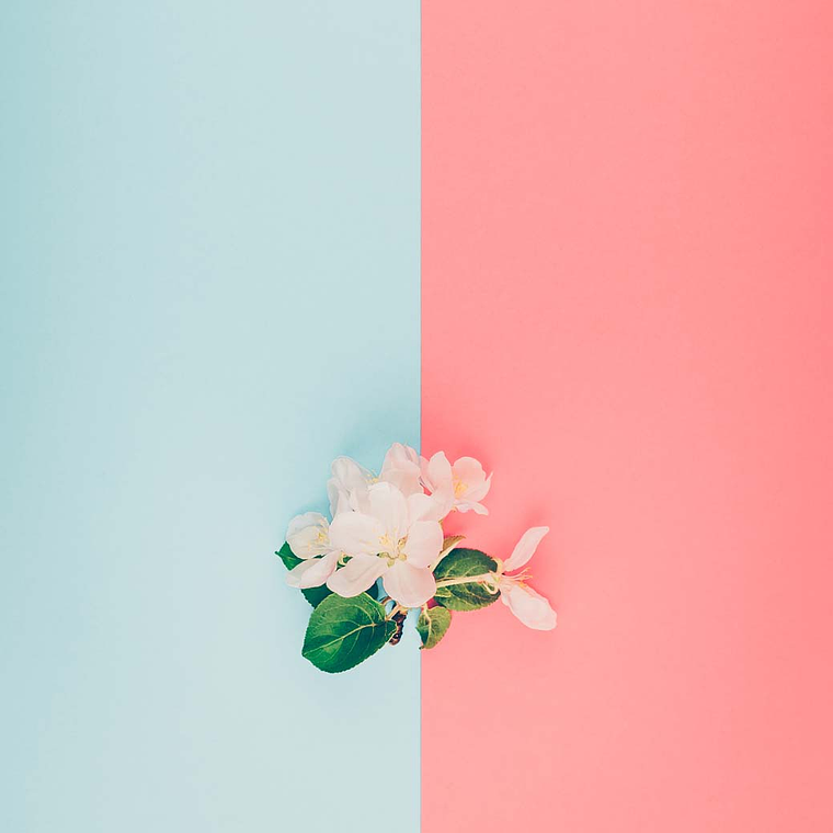 Presets minimalistas para o Instagram 2