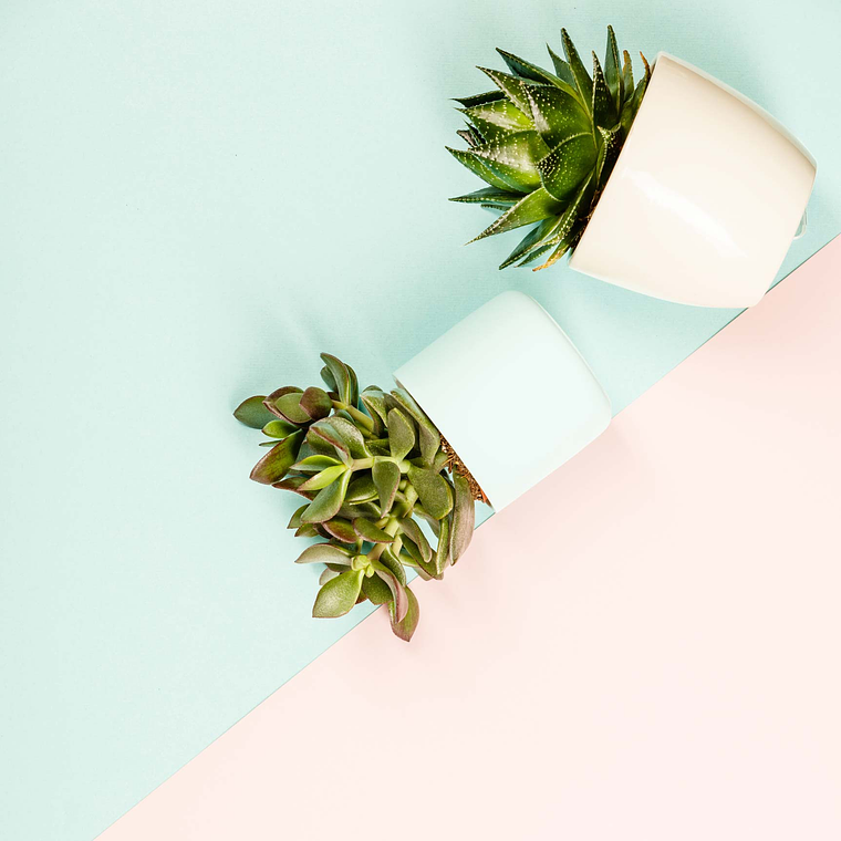 Presets minimalistas para o Instagram 3