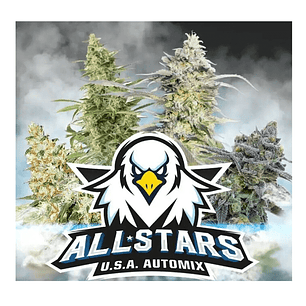 ALL STARS USA MIX  AUTO X4 -BSF