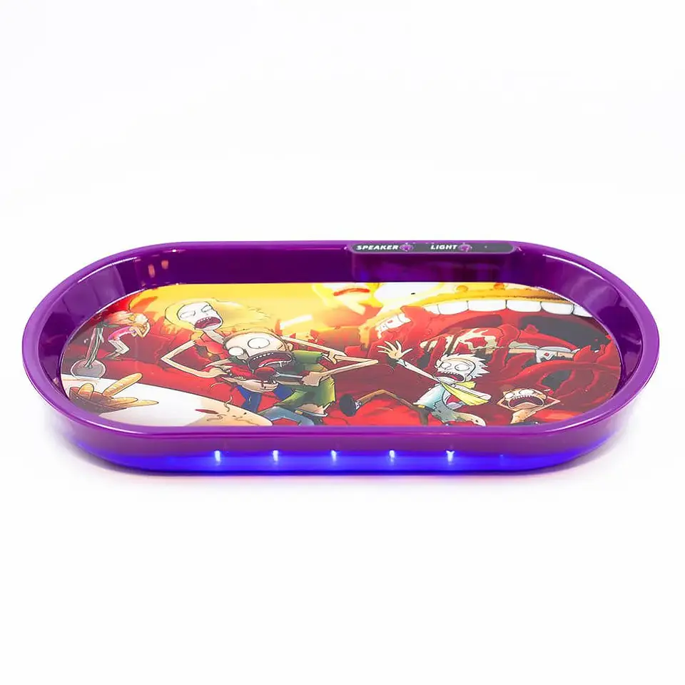 Bandeja Plastica Con Luz Rick&Morty 2