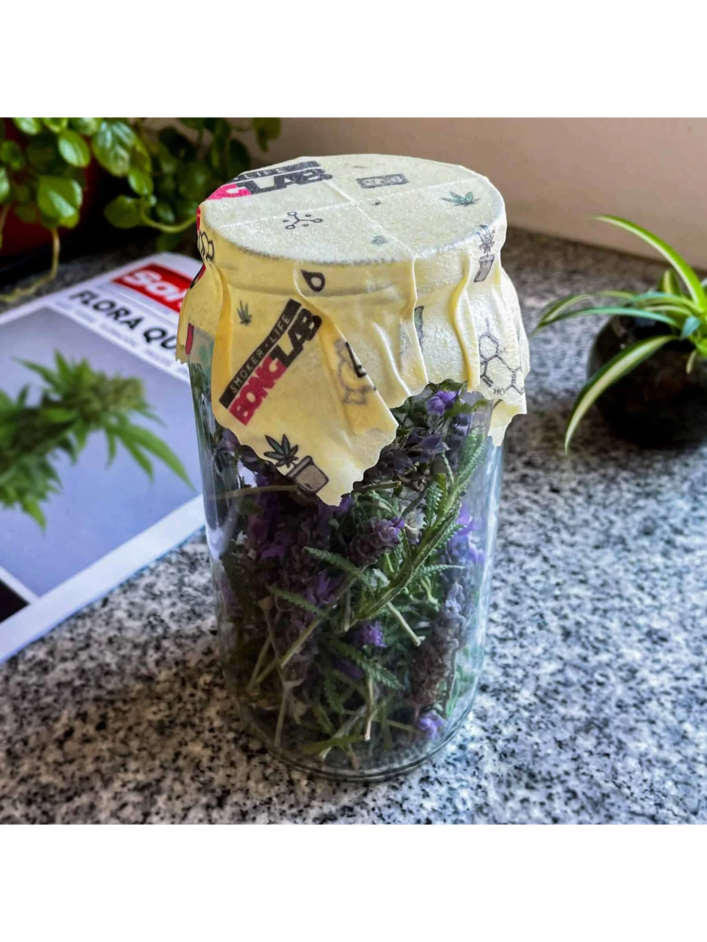 Tapas De Curado Ecobee Pack X2-Bonglab 1