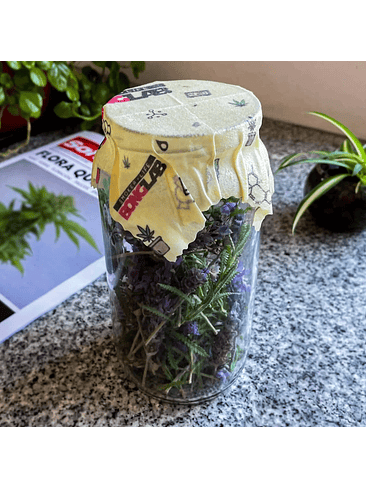 TAPAS DE CURADO ECOBEE PACK X2-BONGLAB 2