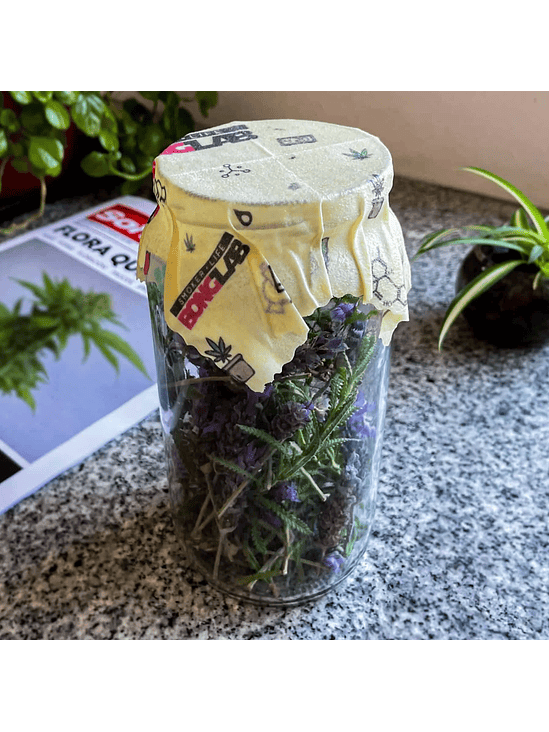 TAPAS DE CURADO ECOBEE PACK X2-BONGLAB 2