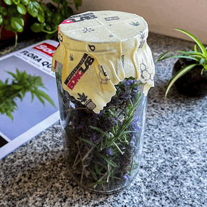 Tapas De Curado Ecobee Display 10Un-Bonglab